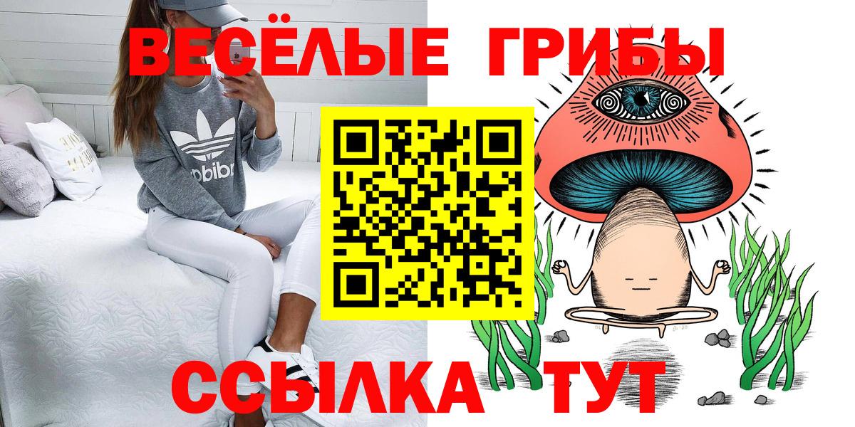 Галлюциногенные грибы Magic Shrooms  Вход с VPN  Черкесск 