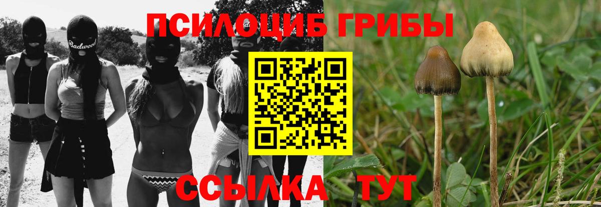 Псилоцибиновые грибы MAGIC MUSHROOMS Черкесск